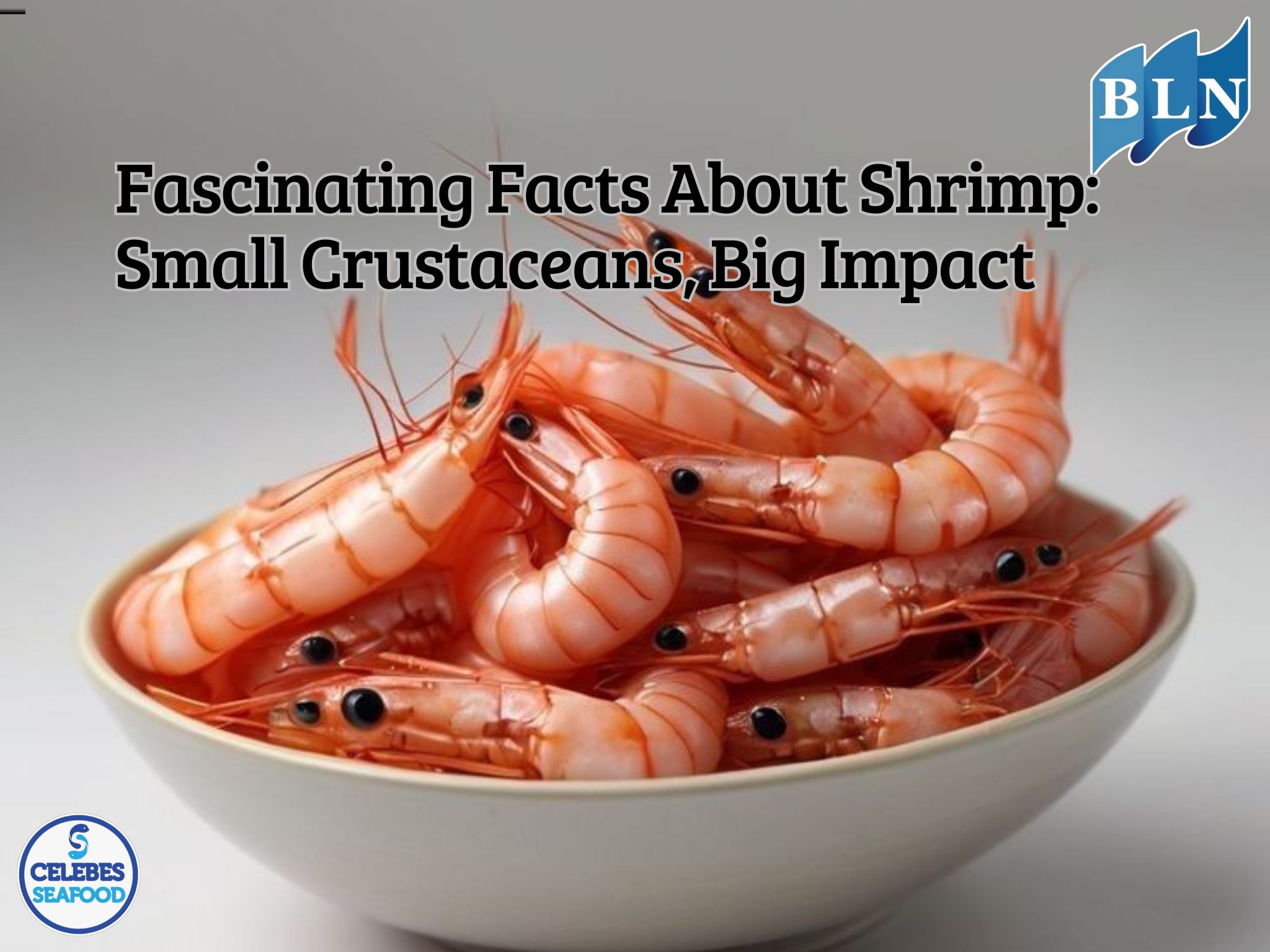 Fascinating Facts About Shrimp: Small Crustaceans, Big Impact